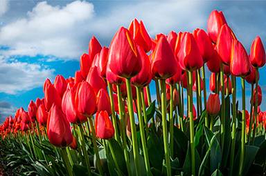 График работы магазинов 7, 8 и 9 марта График работы магазинов 7, 8 и 9 марта